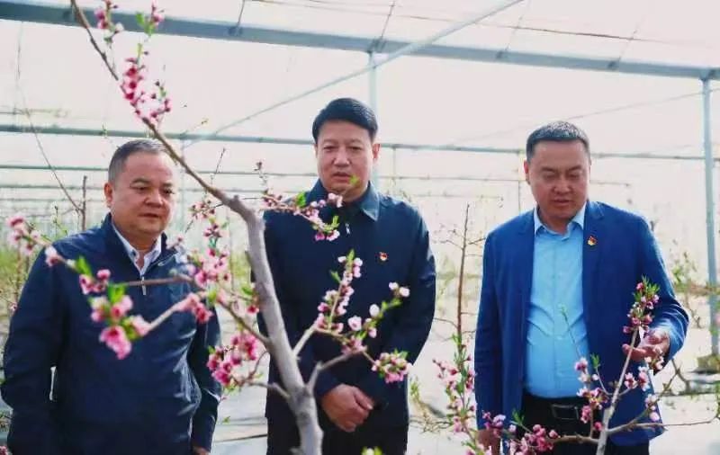 照片1.jpg