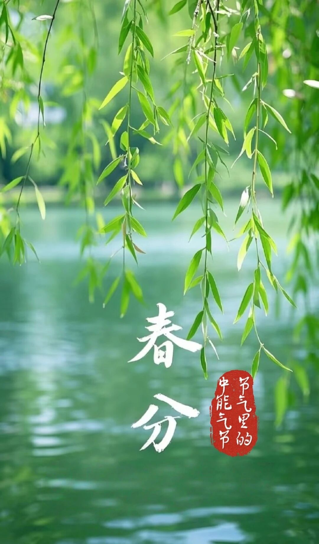 1774061865231097.jpeg 1.jpg